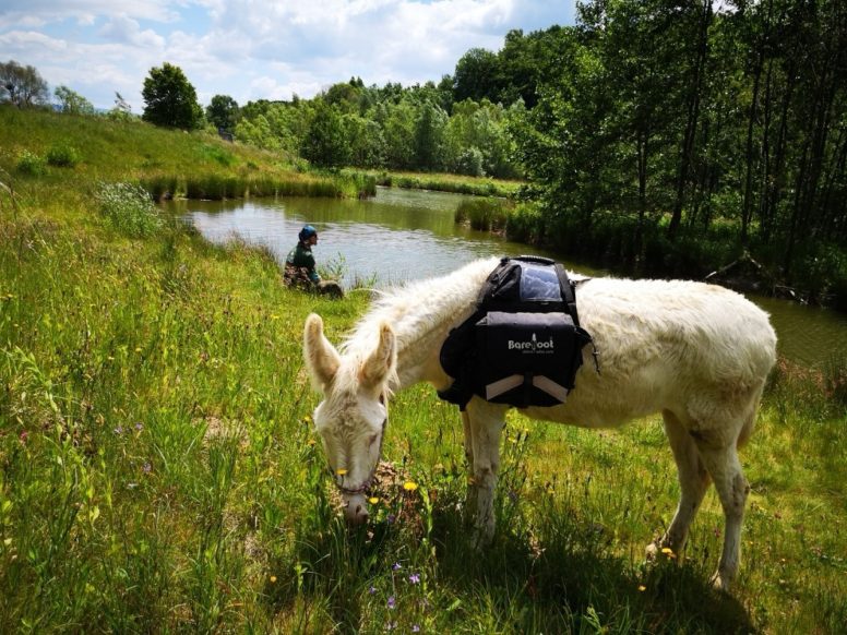 Eseltrekking2